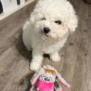 Alternative view of Lulu