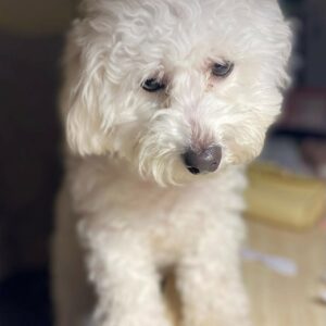 Alternative view of Ruby