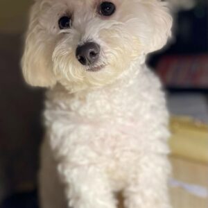 Ruby