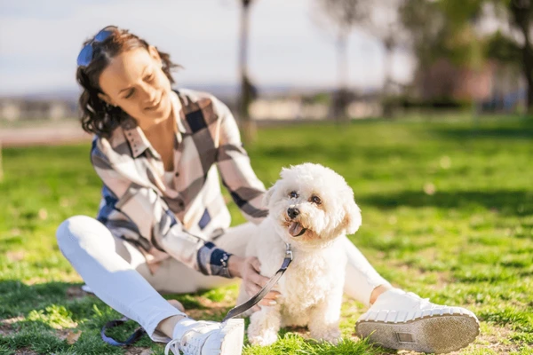 Happy woman playing with a white dog