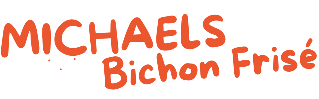 Michaels Bichon Frise Puppies
